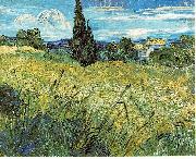 Green Wheat Field with Cypress, Vincent Van Gogh